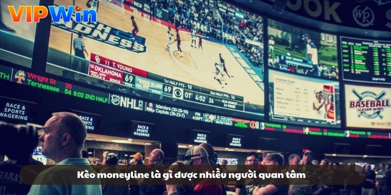 Kèo moneyline là gì được nhiều người quan tâm Kèo moneyline là gì được nhiều người quan tâm